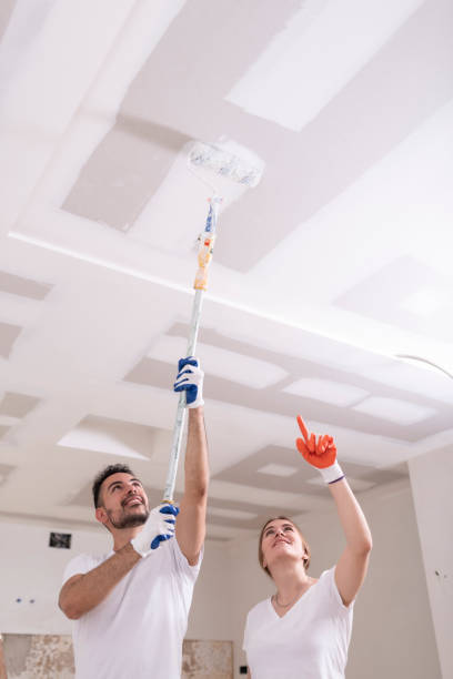 Best Mold Removal for HVAC Installations  in St Albans, WV