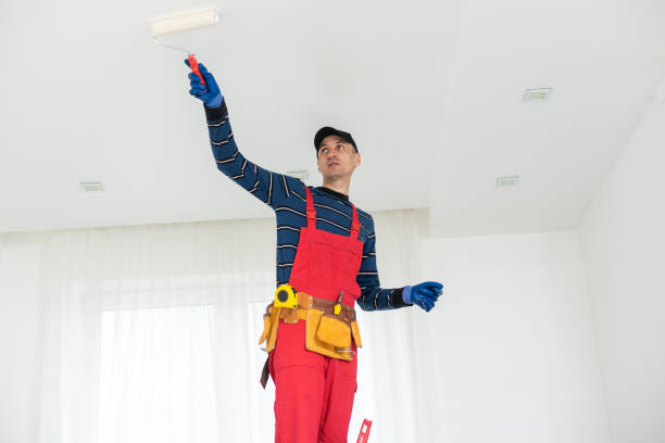 Best Dehumidification Services  in St Albans, WV