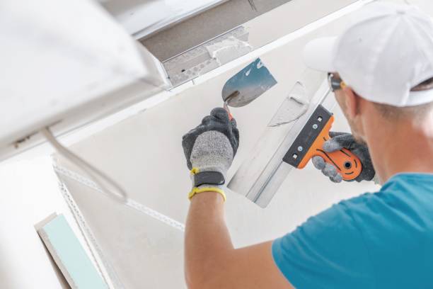 Best Mold-Related Health Consultation  in St Albans, WV
